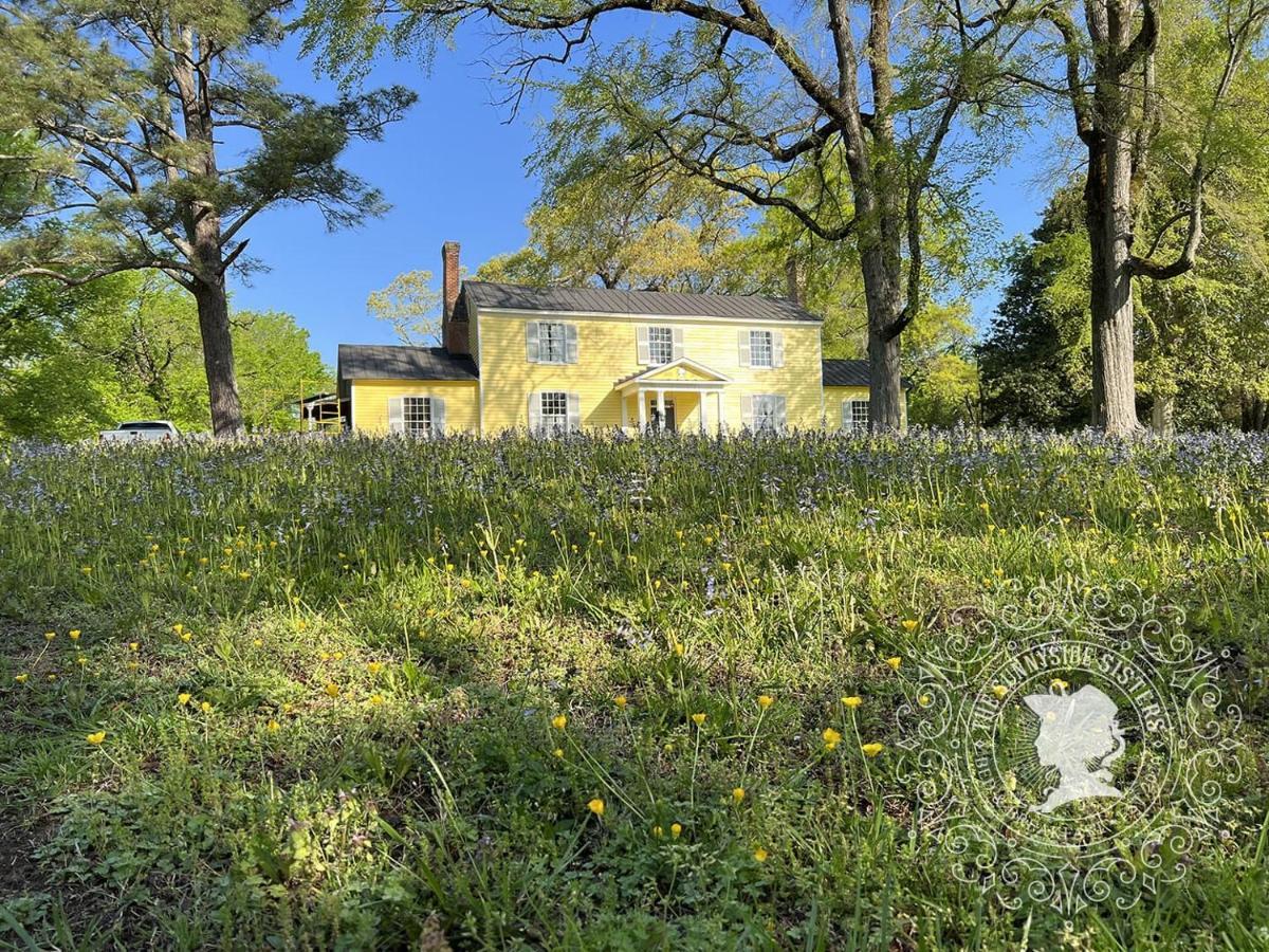 The Sunnyside Sisters Bed And Breakfast Clarksville 外观 照片