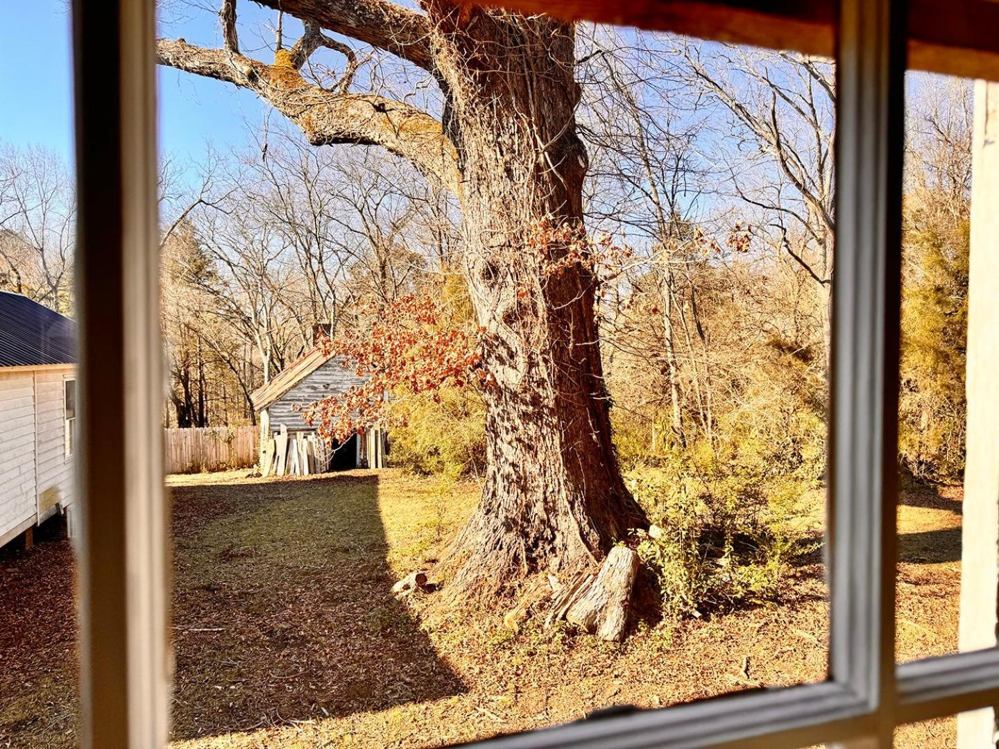 The Sunnyside Sisters Bed And Breakfast Clarksville 外观 照片